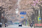 宿州共建“花园城市” 北京这场议政会“百花齐放”