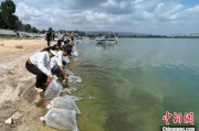 宿州云南江川举行增殖放流活动 逾54万尾鱼游入星云湖