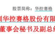 宿州华控赛格董事长、董秘、副总经理三高管同日辞职